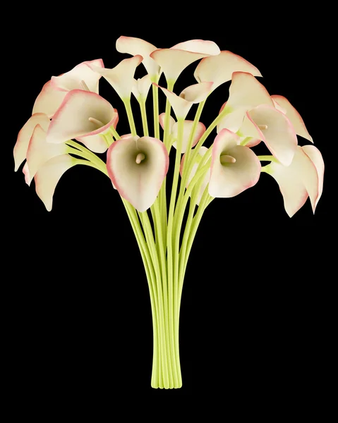 Bouquet of calla lilies isolated on black background — Stock Photo, Image