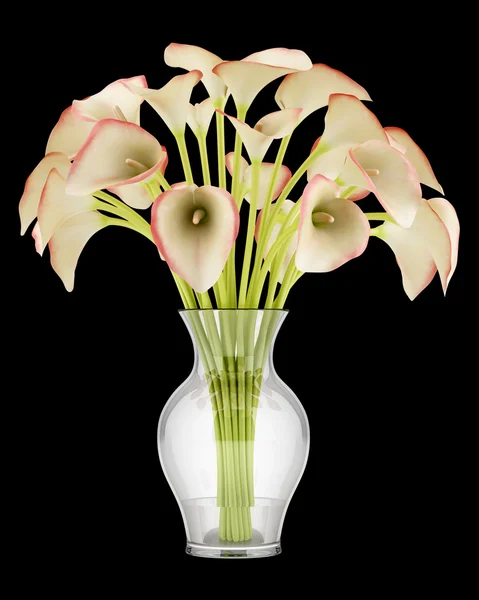 Bouquet of calla lilies in glass vase isolated on black backgrou — Stock Photo, Image