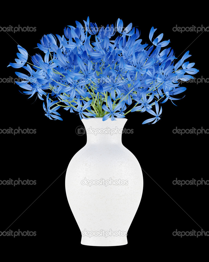 Blue flowers in vase isolated on black background — Stock Photo