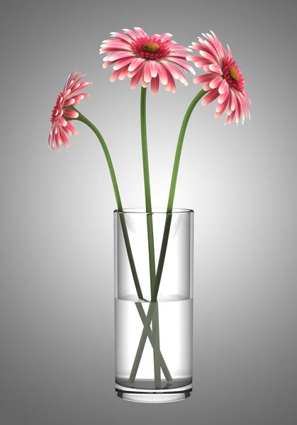 灰色の背景で隔離の花瓶でピンク gerbera のヒナギク — ストック写真