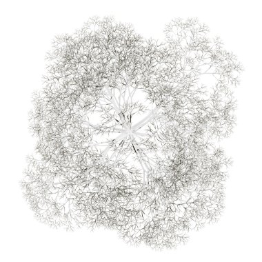 üst Norveç Akça ağaç beyaz adam izole kış