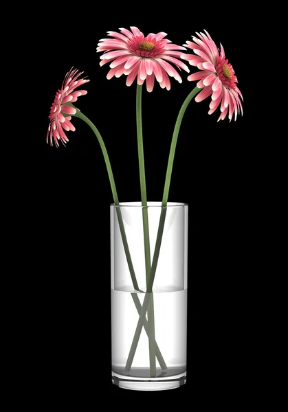 Margaridas gerbera rosa em vaso isolado sobre fundo preto — Fotografia de Stock