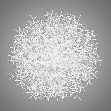 Üstten Görünüm kış huş ağacı izole gri arka plan üzerinde