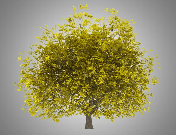 1,005,703 Yellow Lemon Images, Stock Photos, 3D objects, & Vectors