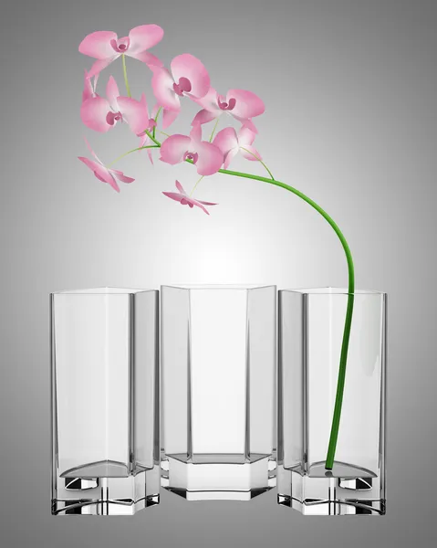 Розовый цветок в стеклянной вазе изолированы на сером фоне — стоковое фото