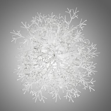 Üstten Görünüm kış huş ağacı izole gri arka plan üzerinde