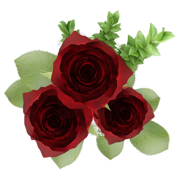 Tilikan atas dari tiga mawar merah dalam vas yang terisolasi pada latar belakang putih — Stok Foto