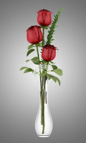 Três rosas vermelhas em vaso de vidro isolado sobre fundo cinza — Fotografia de Stock
