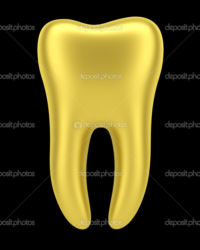 The Teeth Human Anatomy Diagram Names Number And