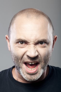 portrait of angry man screaming isolated on gray background