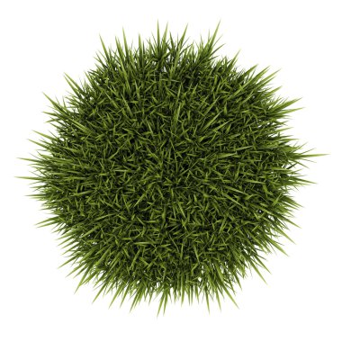 Dekoratif çim beyaz zemin üzerine izole Üstten Görünüm