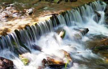 ağaç ve kayaların dağ şelale