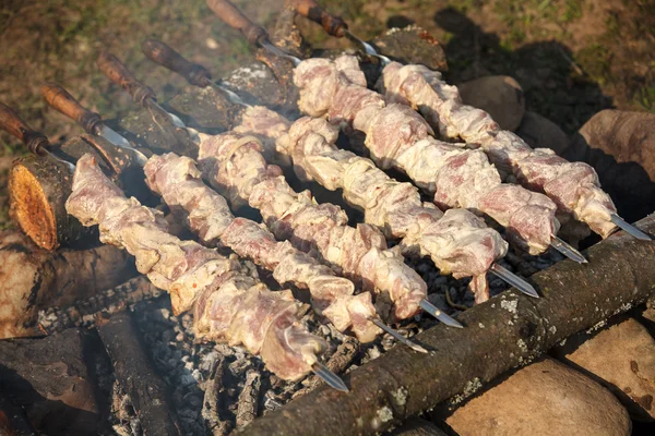 Juicy slices of meat with sauce prepare on fire — Stock Photo, Image