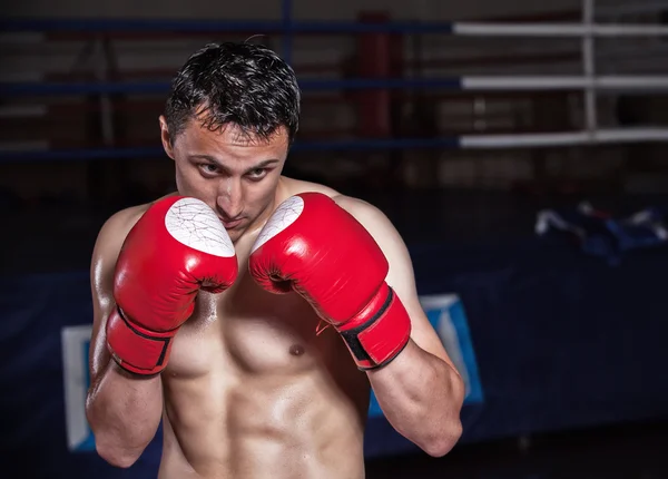 Luvas de boxer de ação em atitude de treinamento — Fotografia de Stock