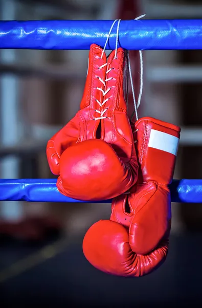 Un par de guantes de boxeo rojos cuelga del anillo —  Fotos de Stock