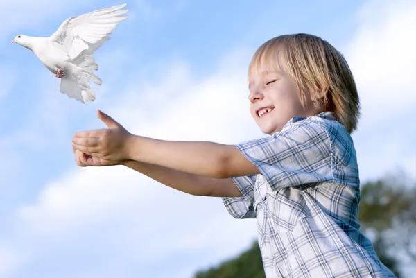 Pequeño niño soltando una paloma blanca en el cielo . — Foto de Stock