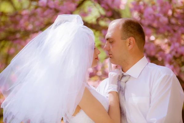 Lyckliga bruden och brudgummen på en bröllopsdag — Stockfoto