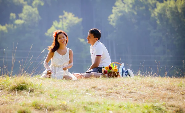 Lyckliga framgångsrika attraktivt par som firar tillsammans på picknick — Stockfoto