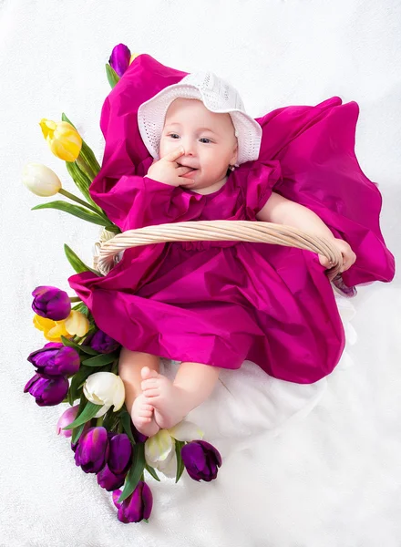 Retrato bebé recién nacido en cesta — Foto de Stock
