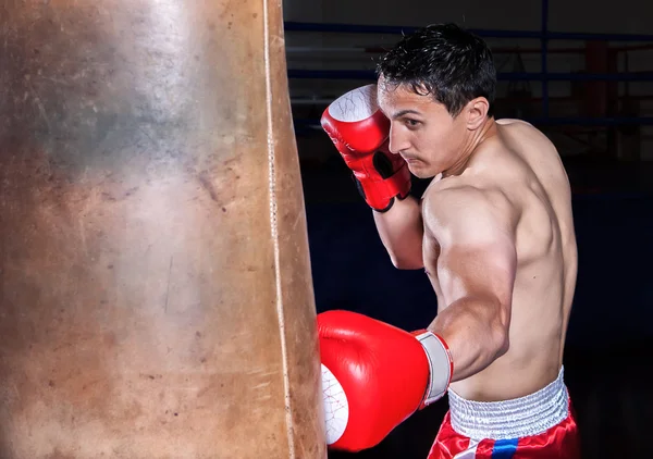 Luvas de boxer de ação em atitude de treinamento — Fotografia de Stock