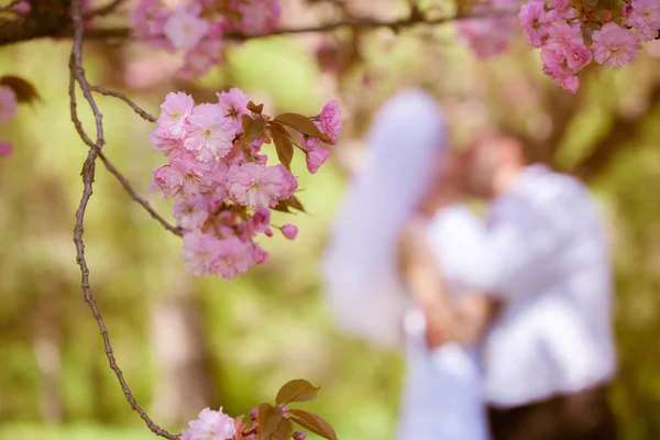 Gelukkige bruid en bruidegom op een trouwdag — Stockfoto