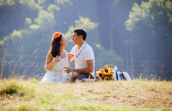 Boldog sikeres vonzó pár ünnepli együtt a piknik — Stock Fotó