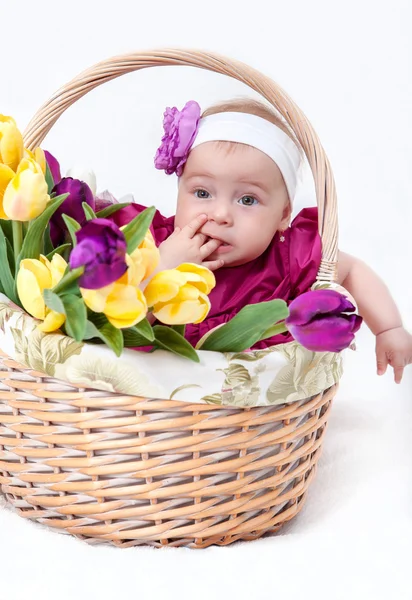 Ritratto neonato nel cesto — Foto Stock