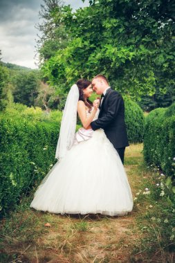 Gelin ve damat parkta