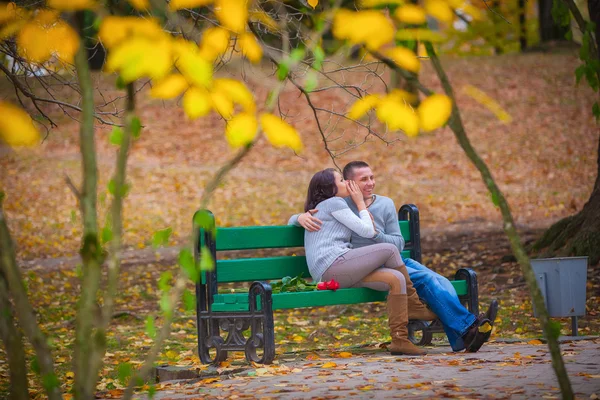 Pareja en otoño —  Fotos de Stock