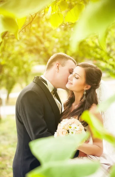 Bride and groom in park — Stock Photo, Image