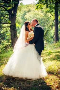 Gelin ve damat parkta