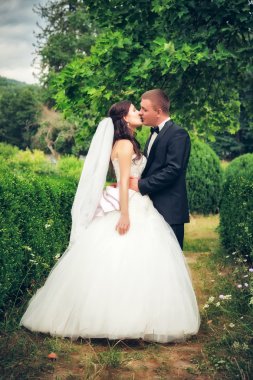 Gelin ve damat parkta