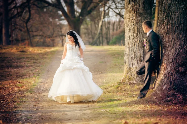 新郎新娘在公园里 — 图库照片