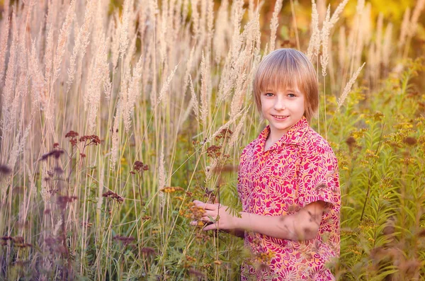 夏の畑の少年 — ストック写真