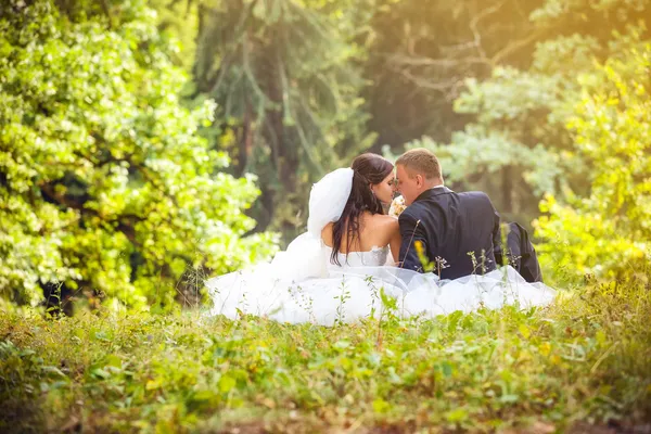 Bride and groom in park — Stock Photo, Image