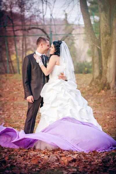 Novia y novio en el parque — Foto de Stock