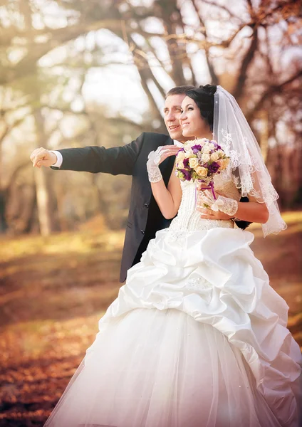 Bruid en bruidegom in het park — Stockfoto