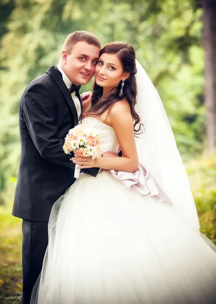 Bride and groom in park — Stock Photo, Image