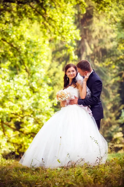 Bruid en bruidegom in het park — Stockfoto