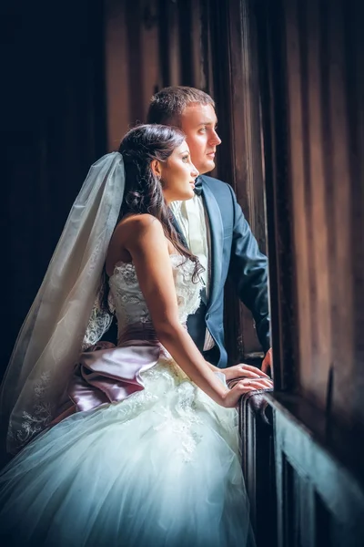 Newlyweds — Stock Photo, Image