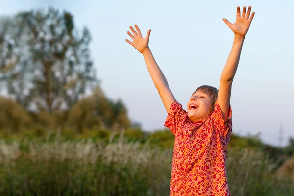 Boy in summer field Stock Photo