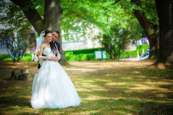 新郎新娘在公园里 — 图库照片