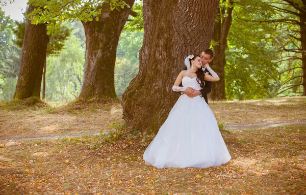 Невеста и жених в парке — стоковое фото