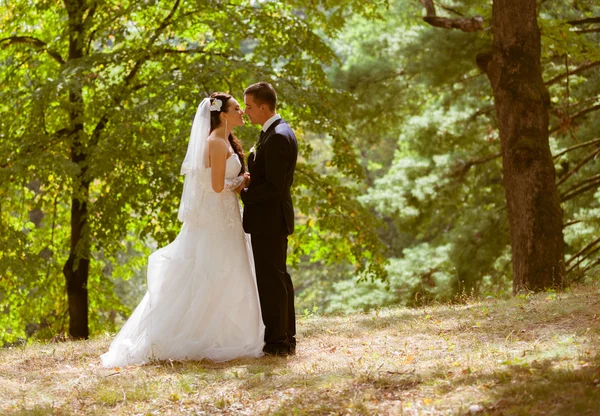 Bruid en bruidegom in het park — Stockfoto