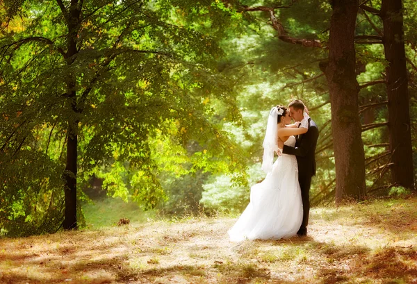 Bruid en bruidegom in het park — Stockfoto