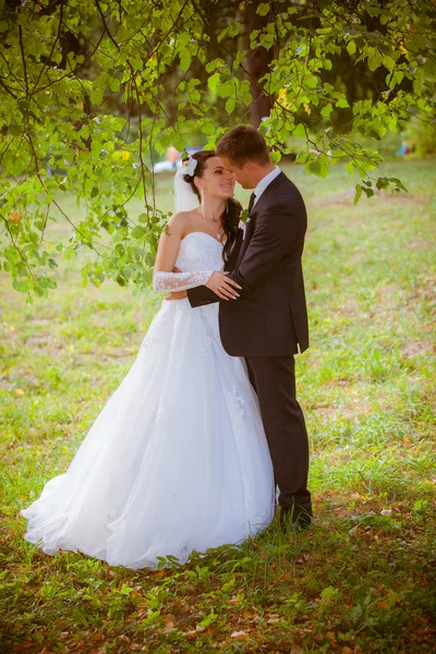 Brud och brudgum i parken — Stockfoto