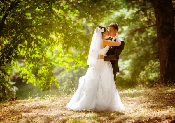 Bruid en bruidegom in het park — Stockfoto