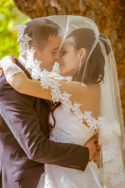 Sposa e sposo nel parco — Foto Stock