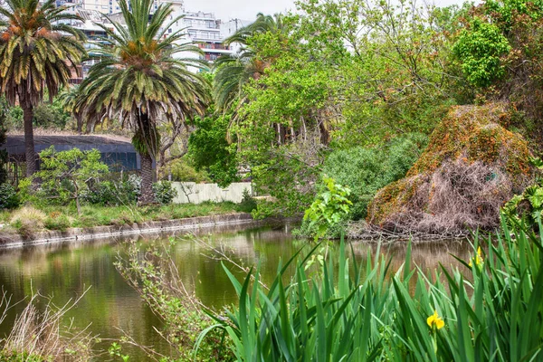 Paisaje Lago Palmeras Arbustos Exóticos — Foto de Stock