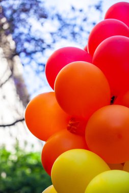 LGBT toplumunun özgürlüğünün sembolü olarak gökkuşağı renklerinde bayraklar ve balonlar